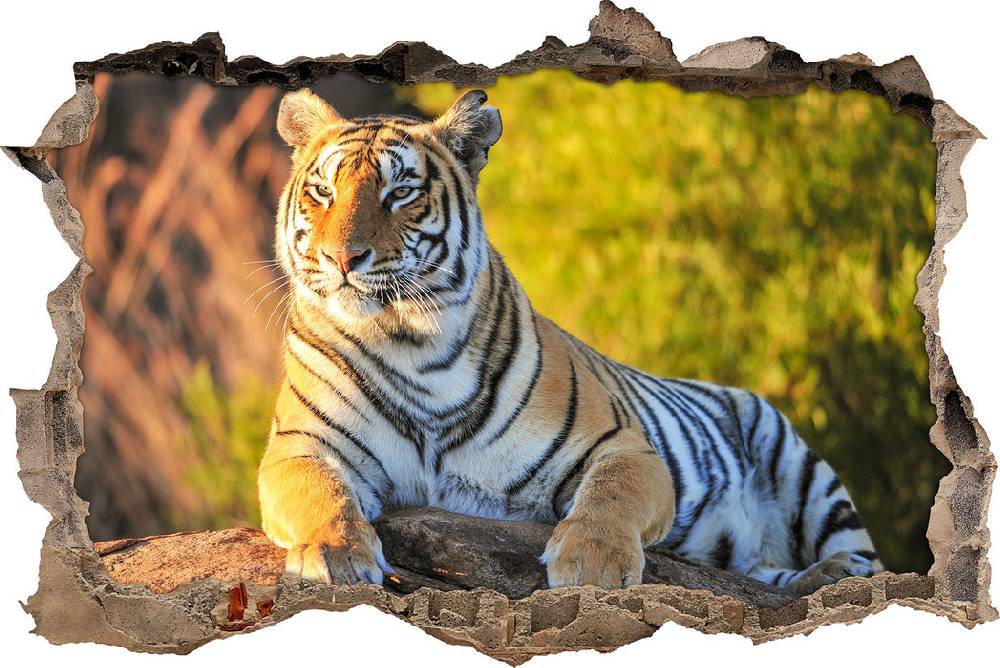 Pixxprint Stolzer Tiger, 3D Wandtattoo