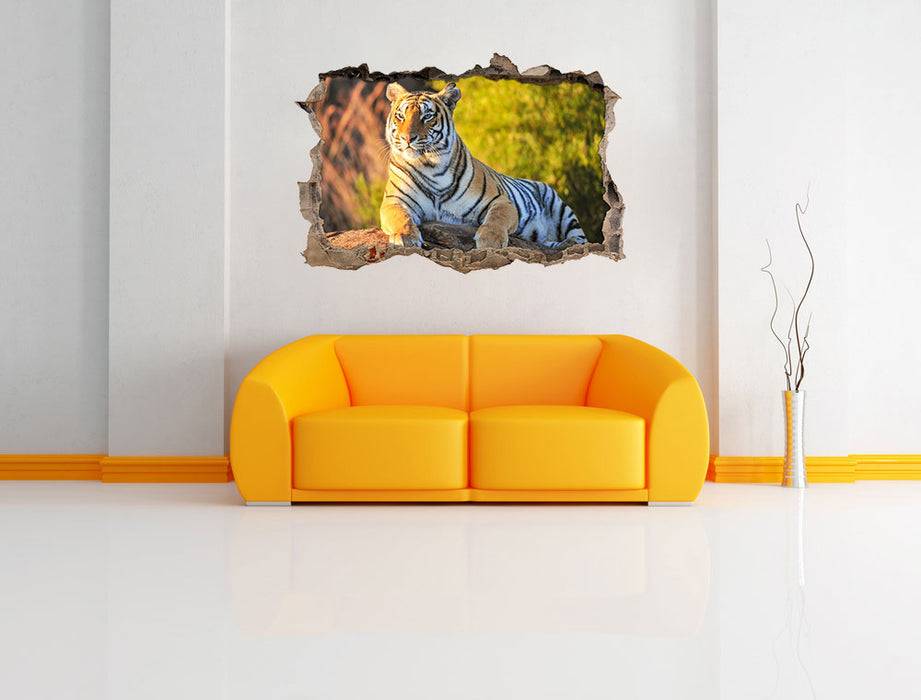 Pixxprint Stolzer Tiger, 3D Wandtattoo Nur für heute