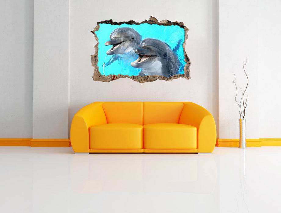 Pixxprint Delfinpaar, 3D Wandtattoo Sonderangebot der Fabrik