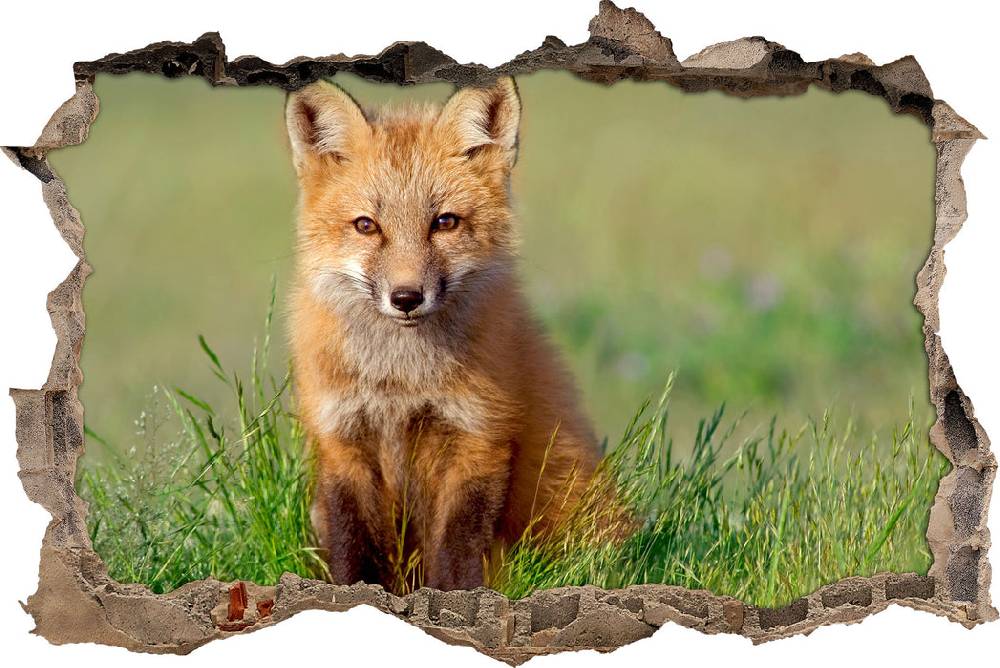 Pixxprint Kleiner Fuchs, 3D Wandtattoo
