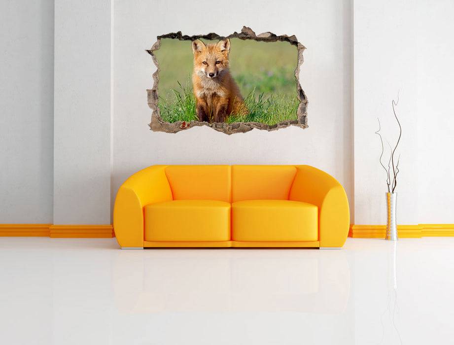 Pixxprint Kleiner Fuchs, 3D Wandtattoo Vierteljährliche Förderung