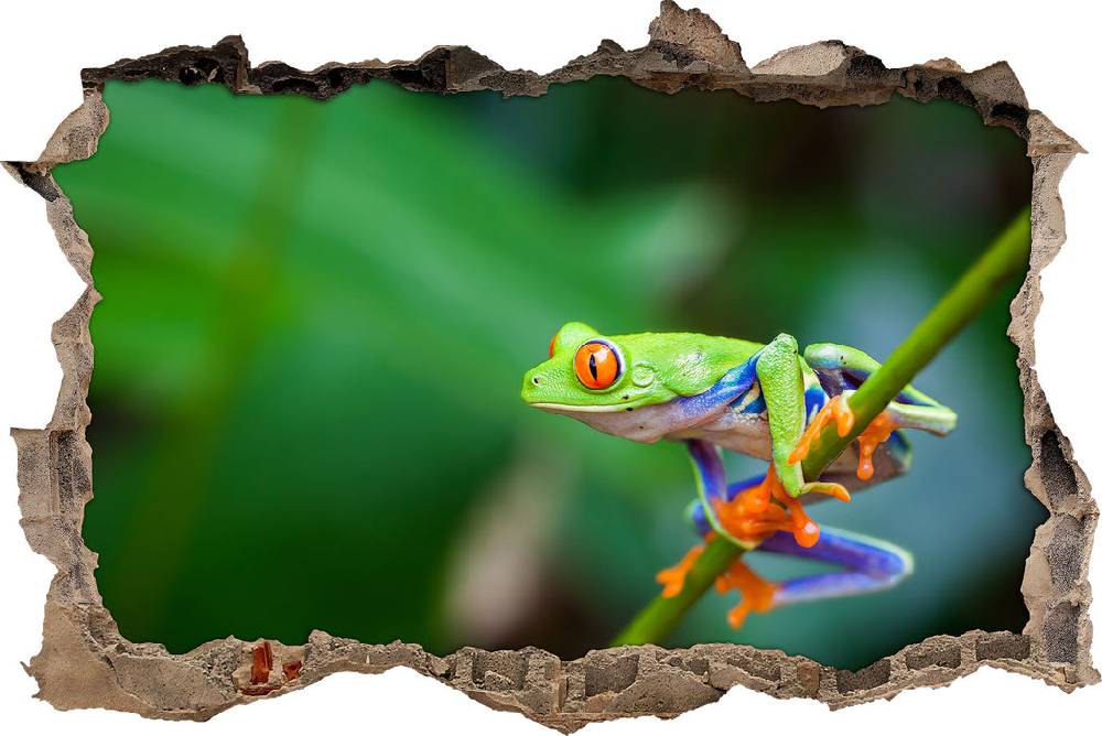 Pixxprint Grüner kleiner Frosch auf Ast, 3D Wandtattoo Bis zu 55% Rabatt
