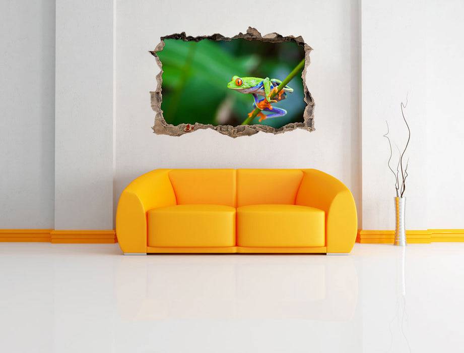Pixxprint Grüner kleiner Frosch auf Ast, 3D Wandtattoo Bis zu 55% Rabatt