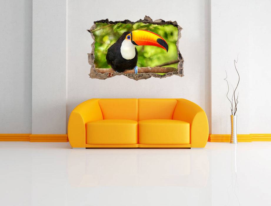 Pixxprint Exotischer Tukan, 3D Wandtattoo Discount Store für neue Produkte