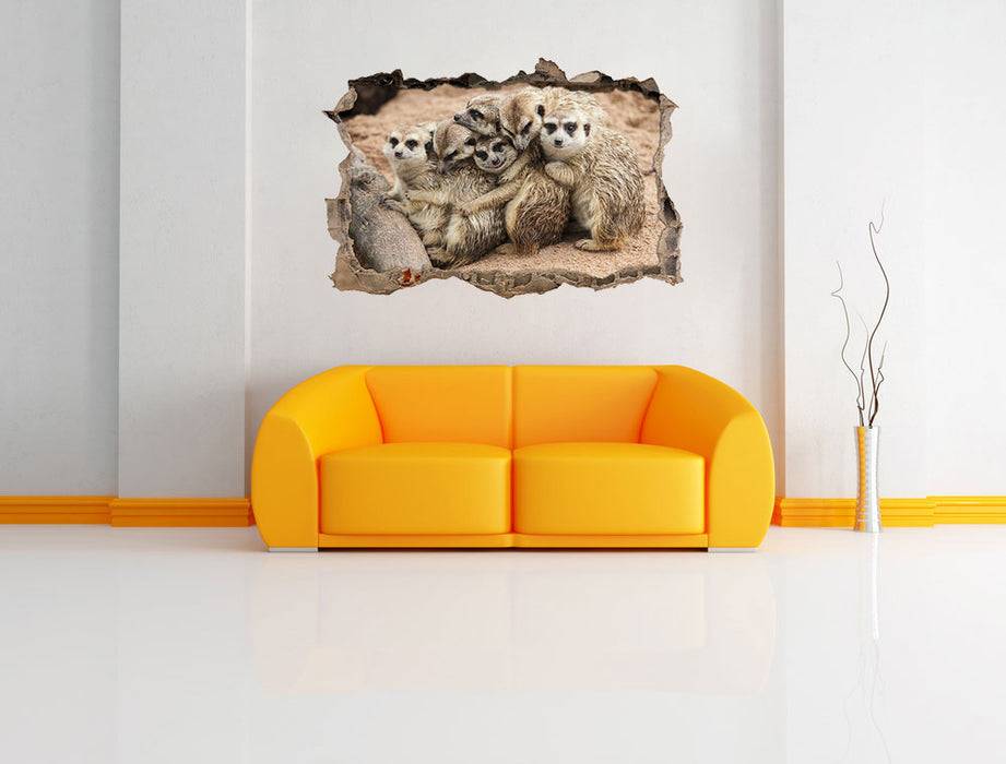 Pixxprint kuschelnde Erdmännchen, 3D Wandtattoo Super Rabatt