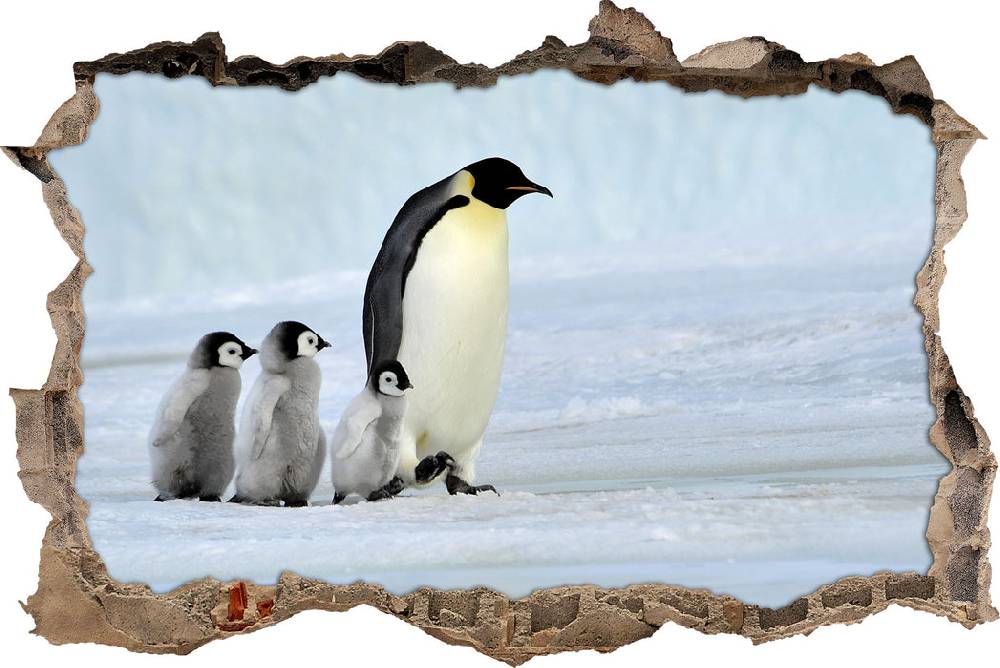 Pixxprint Kaiserpinguine im Schnee, 3D Wandtattoo