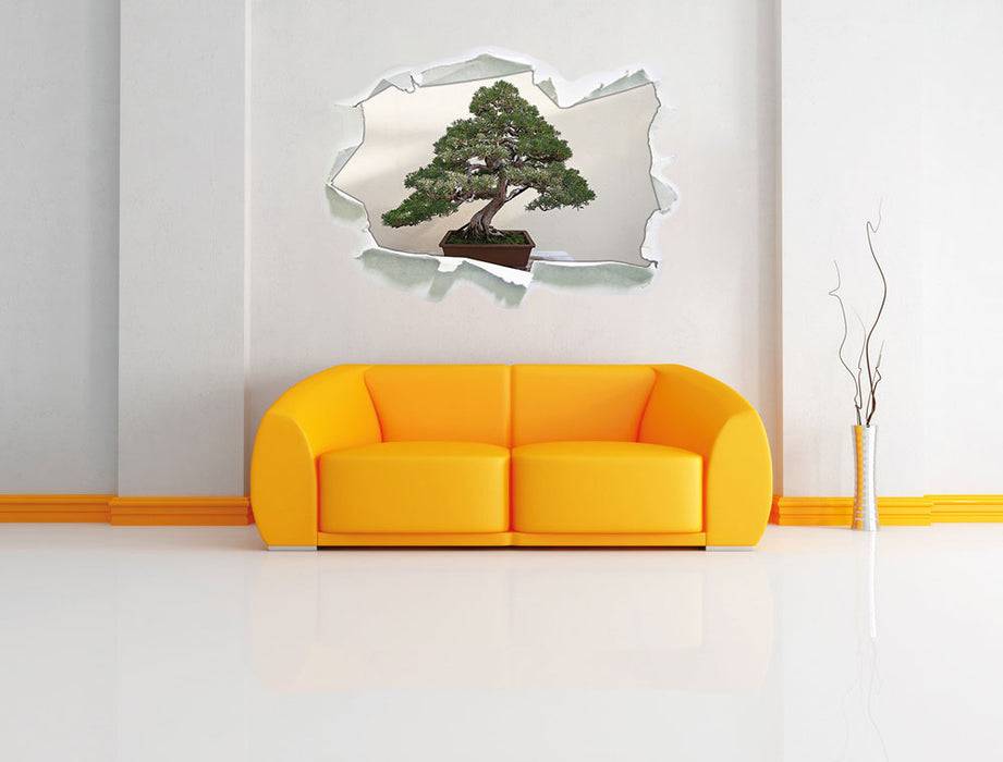Pixxprint Bonsai Baum, 3D Wandtattoo Im Verkauf