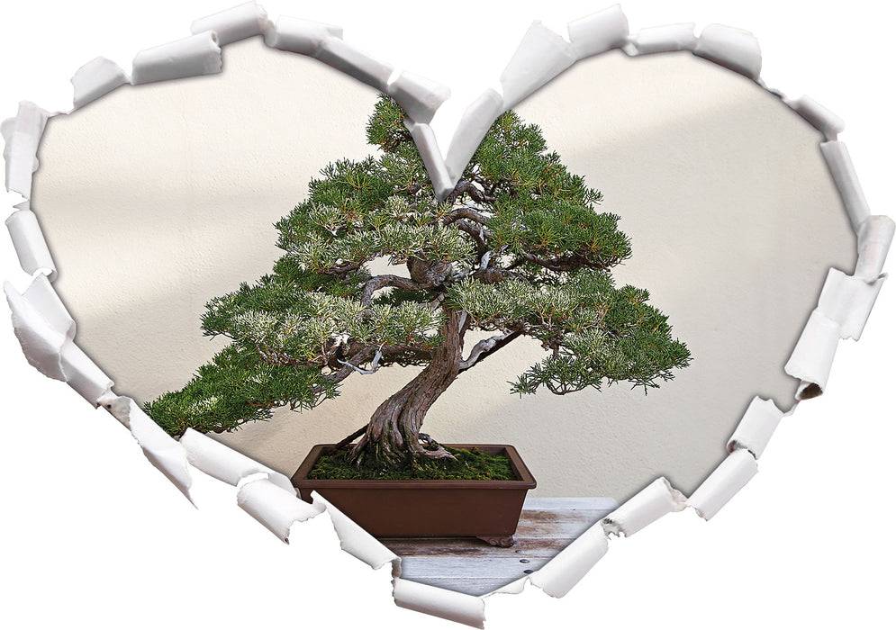 Pixxprint Bonsai Baum, 3D Wandtattoo Im Verkauf