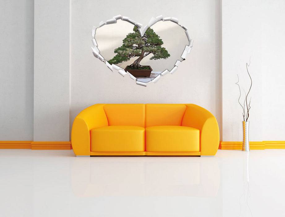 Pixxprint Bonsai Baum, 3D Wandtattoo Im Verkauf