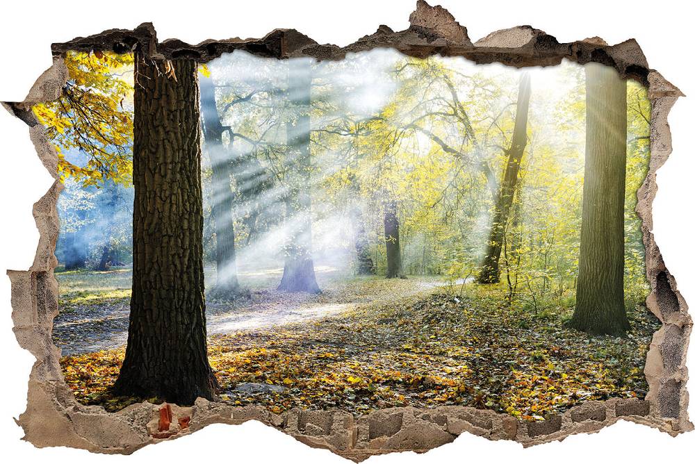 Pixxprint Sonnenstrahlen im Wald, 3D Wandtattoo