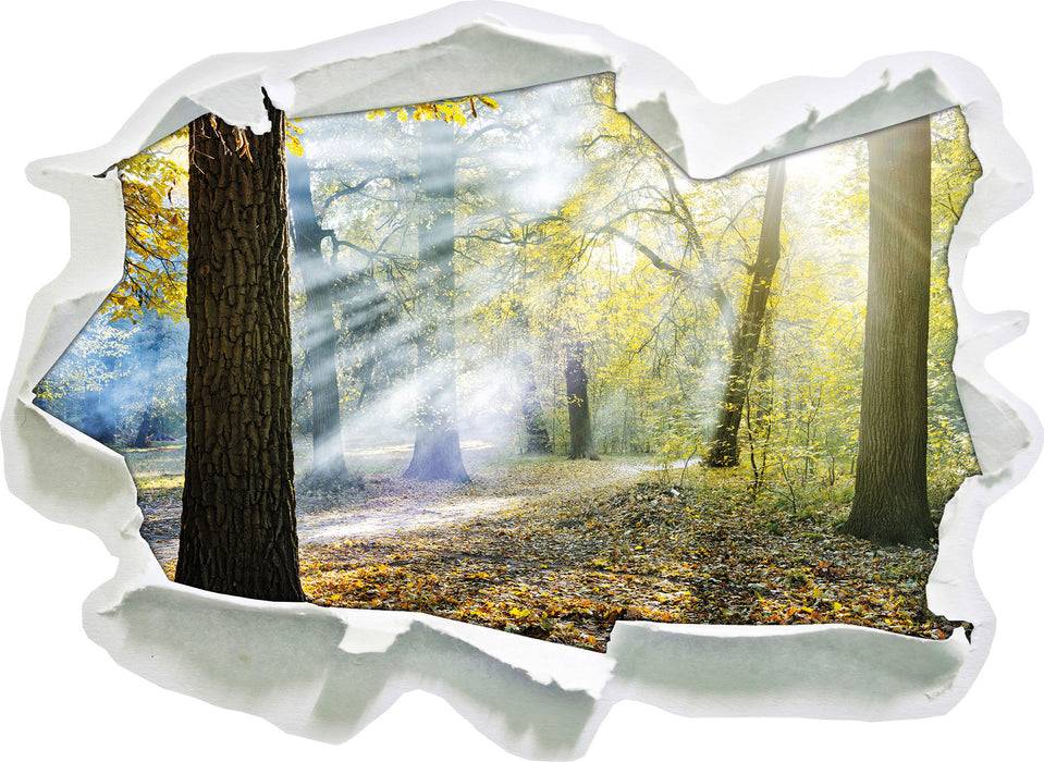Pixxprint Sonnenstrahlen im Wald, 3D Wandtattoo Rabatte dieses Monats