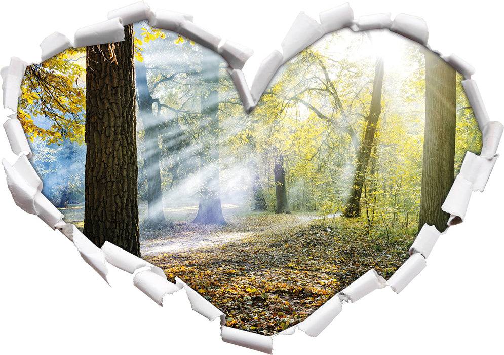 Pixxprint Sonnenstrahlen im Wald, 3D Wandtattoo Rabatte dieses Monats