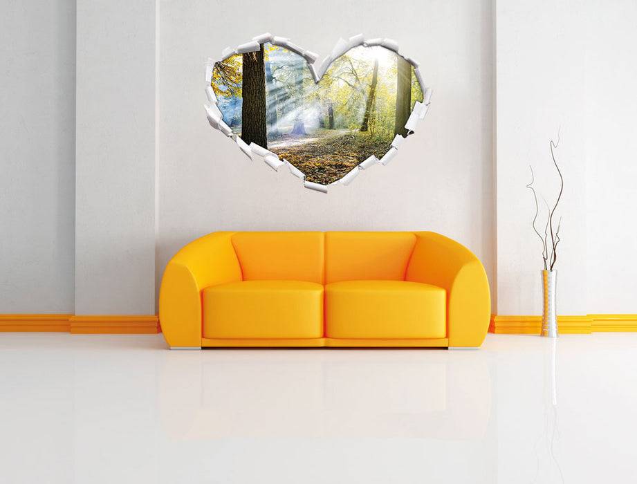 Pixxprint Sonnenstrahlen im Wald, 3D Wandtattoo Rabatte dieses Monats
