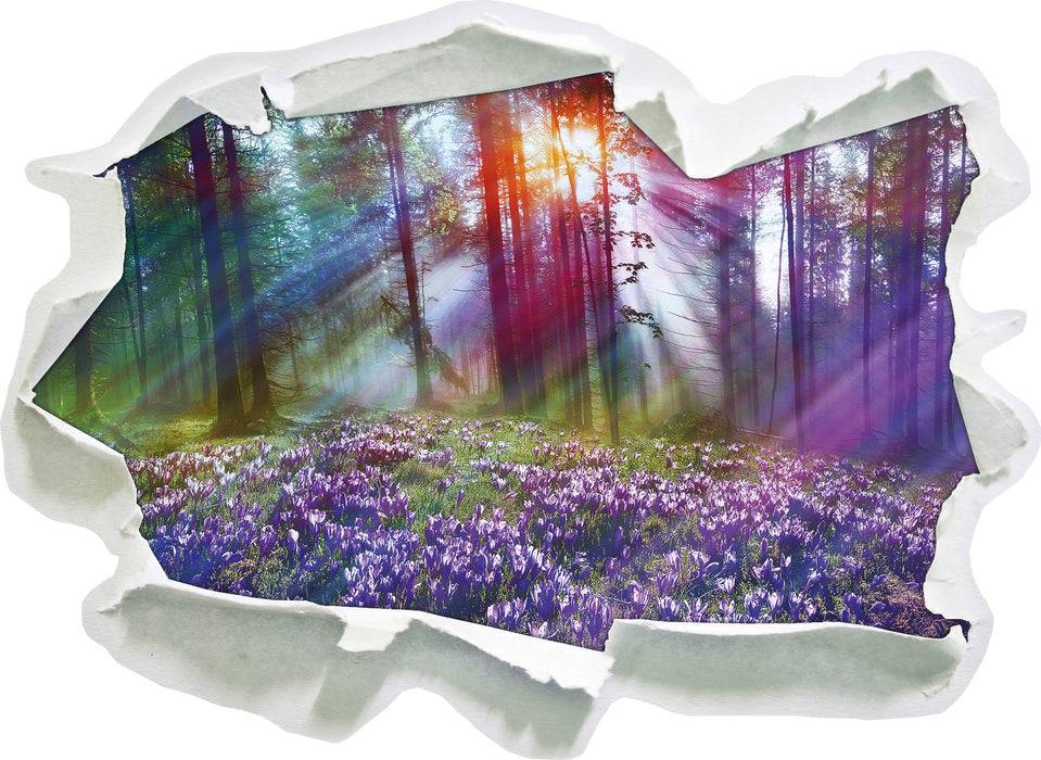 Pixxprint Krokusse im Wald, 3D Wandtattoo Outlet
