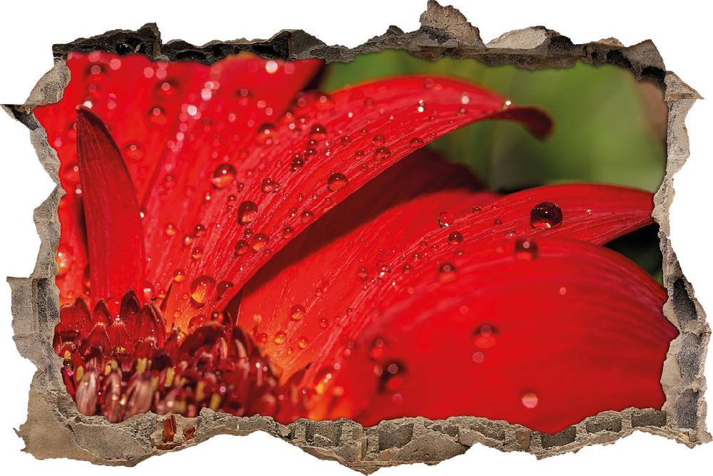 Pixxprint Tautropfen auf roter Blume, 3D Wandtattoo