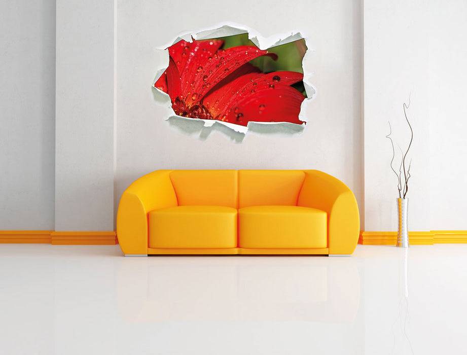 Pixxprint Tautropfen auf roter Blume, 3D Wandtattoo Auslauf