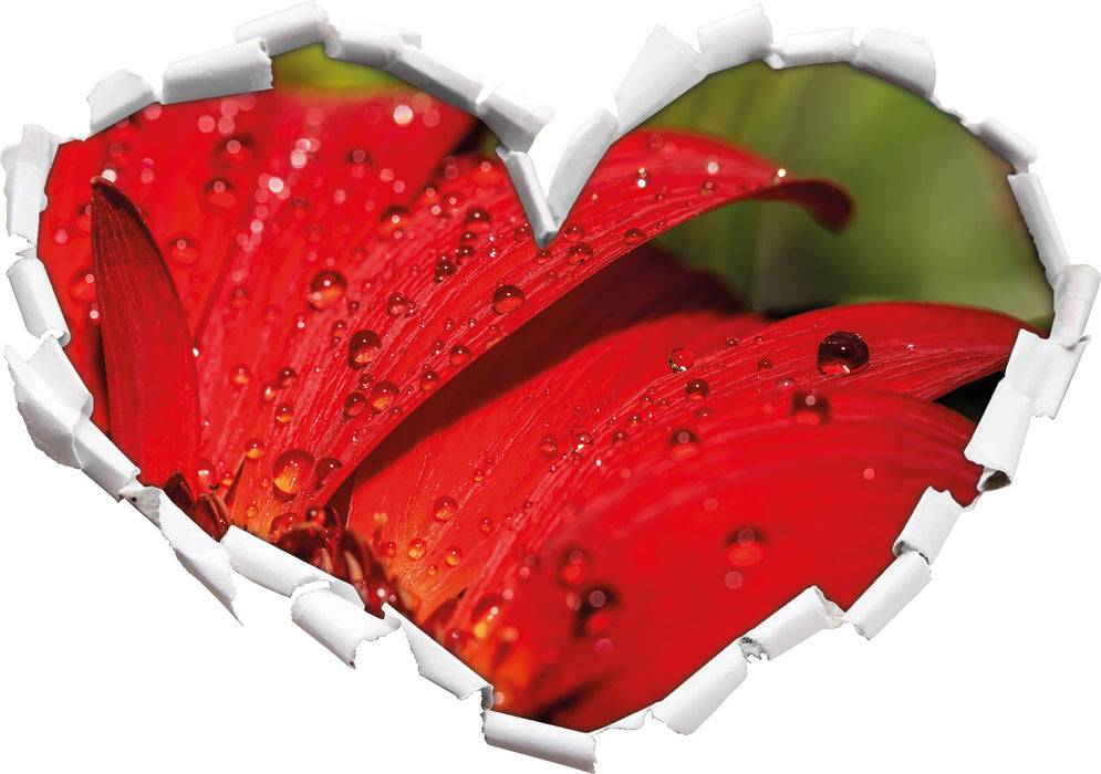 Pixxprint Tautropfen auf roter Blume, 3D Wandtattoo Auslauf