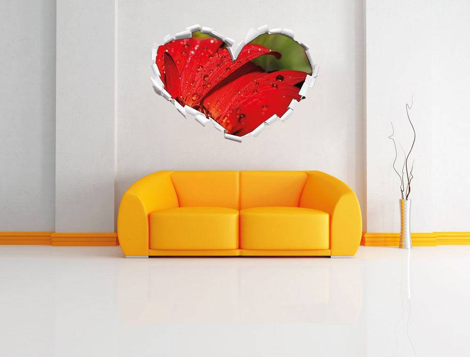Pixxprint Tautropfen auf roter Blume, 3D Wandtattoo Auslauf