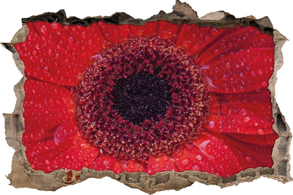 Pixxprint Wassertropfen auf roter Blüte, 3D Wandtattoo Verkauf