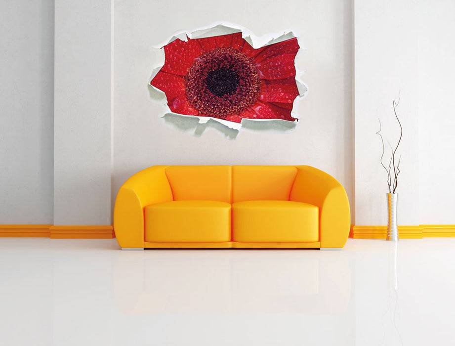 Pixxprint Wassertropfen auf roter Blüte, 3D Wandtattoo Verkauf