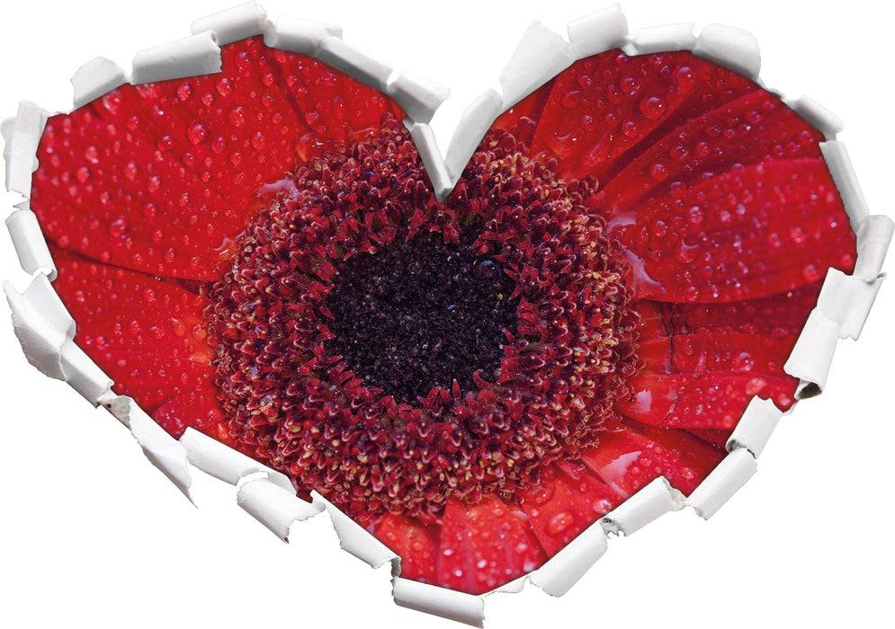 Pixxprint Wassertropfen auf roter Blüte, 3D Wandtattoo Verkauf