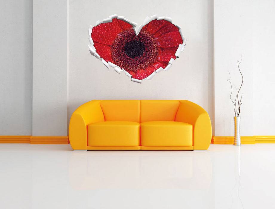 Pixxprint Wassertropfen auf roter Blüte, 3D Wandtattoo Verkauf