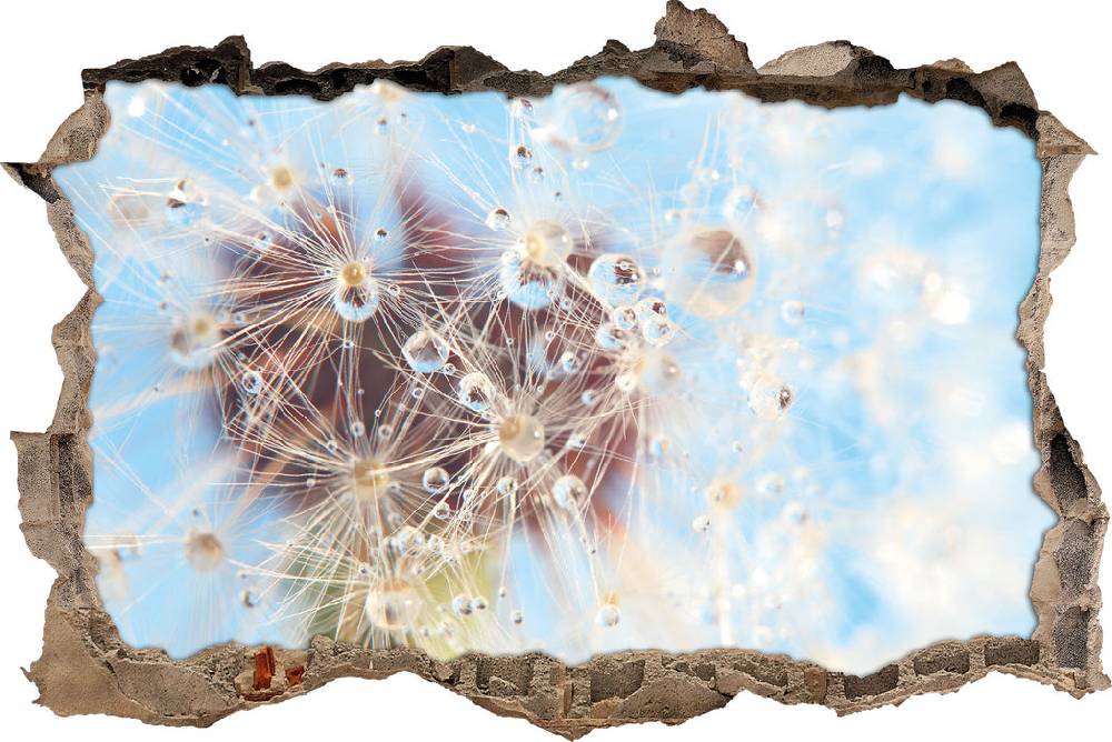 Pixxprint Tropfen an Pusteblume Nahaufnahme, 3D Wandtattoo Angebote