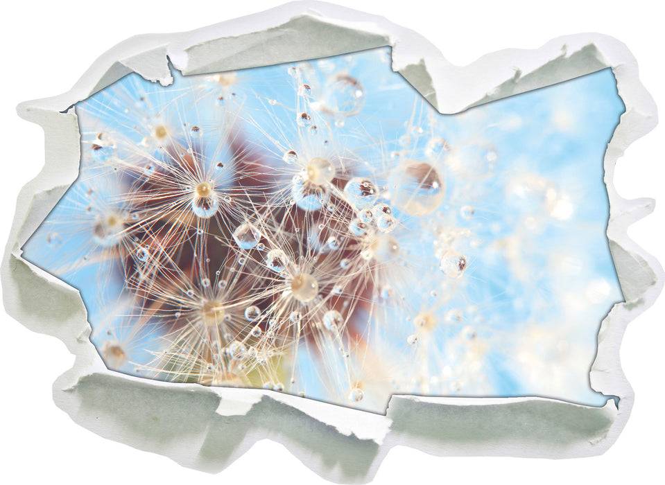 Pixxprint Tropfen an Pusteblume Nahaufnahme, 3D Wandtattoo Angebote