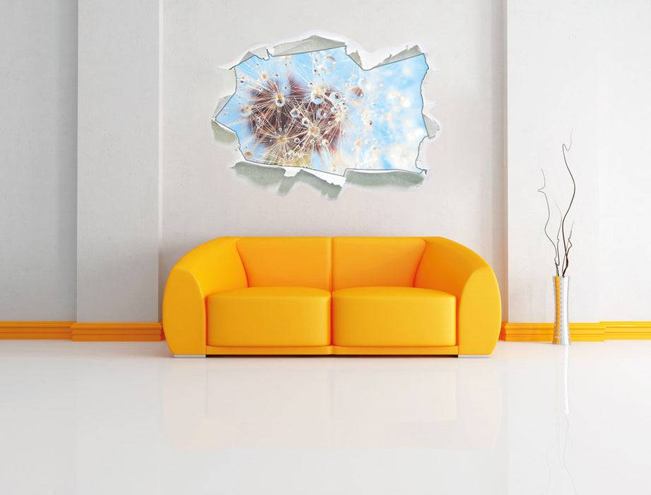 Pixxprint Tropfen an Pusteblume Nahaufnahme, 3D Wandtattoo Angebote