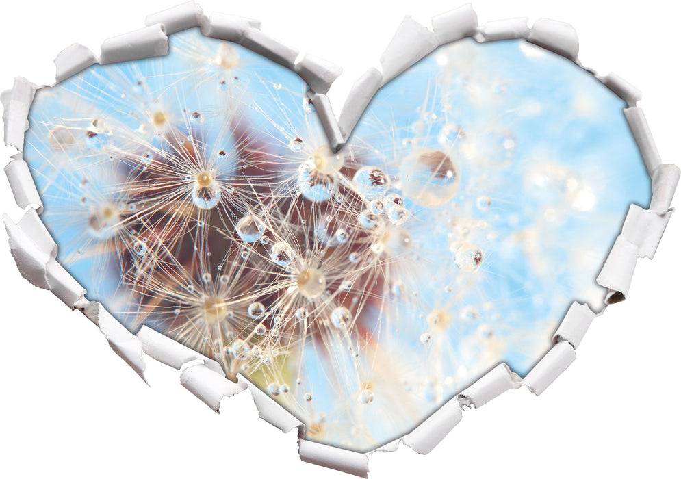 Pixxprint Tropfen an Pusteblume Nahaufnahme, 3D Wandtattoo Angebote
