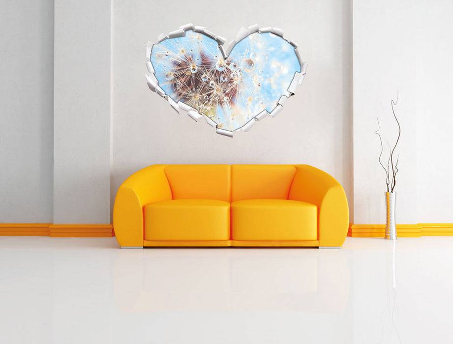 Pixxprint Tropfen an Pusteblume Nahaufnahme, 3D Wandtattoo Angebote