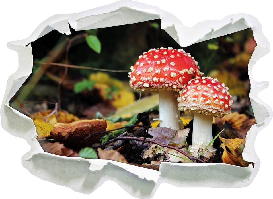 Pixxprint Pilz im Wald, 3D Wandtattoo Fabrikverkauf