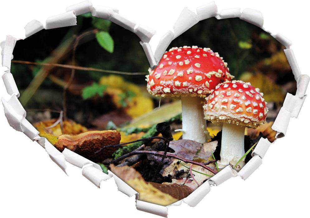Pixxprint Pilz im Wald, 3D Wandtattoo Fabrikverkauf