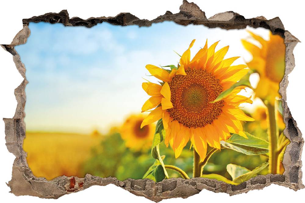 Pixxprint Strahlendes Sonnenblumenfeld, 3D Wandtattoo