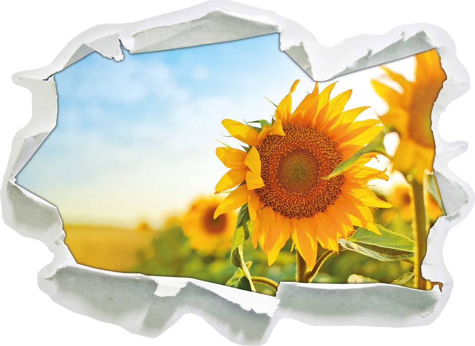 Pixxprint Strahlendes Sonnenblumenfeld, 3D Wandtattoo Kostenloser Versand
