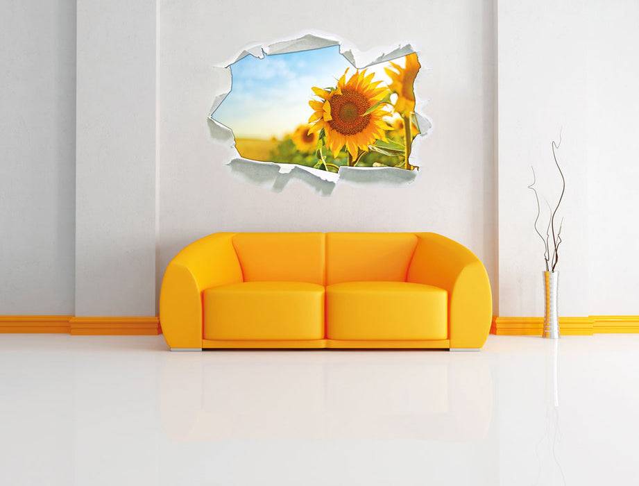 Pixxprint Strahlendes Sonnenblumenfeld, 3D Wandtattoo Kostenloser Versand