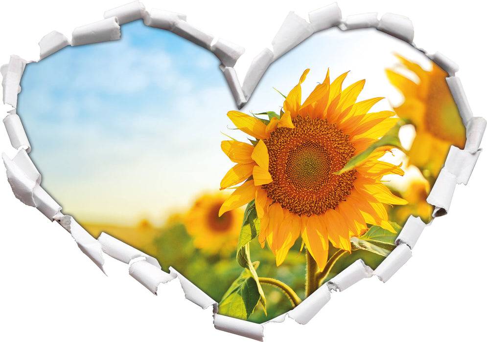 Pixxprint Strahlendes Sonnenblumenfeld, 3D Wandtattoo Kostenloser Versand