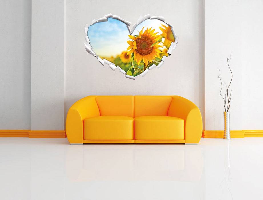 Pixxprint Strahlendes Sonnenblumenfeld, 3D Wandtattoo Kostenloser Versand