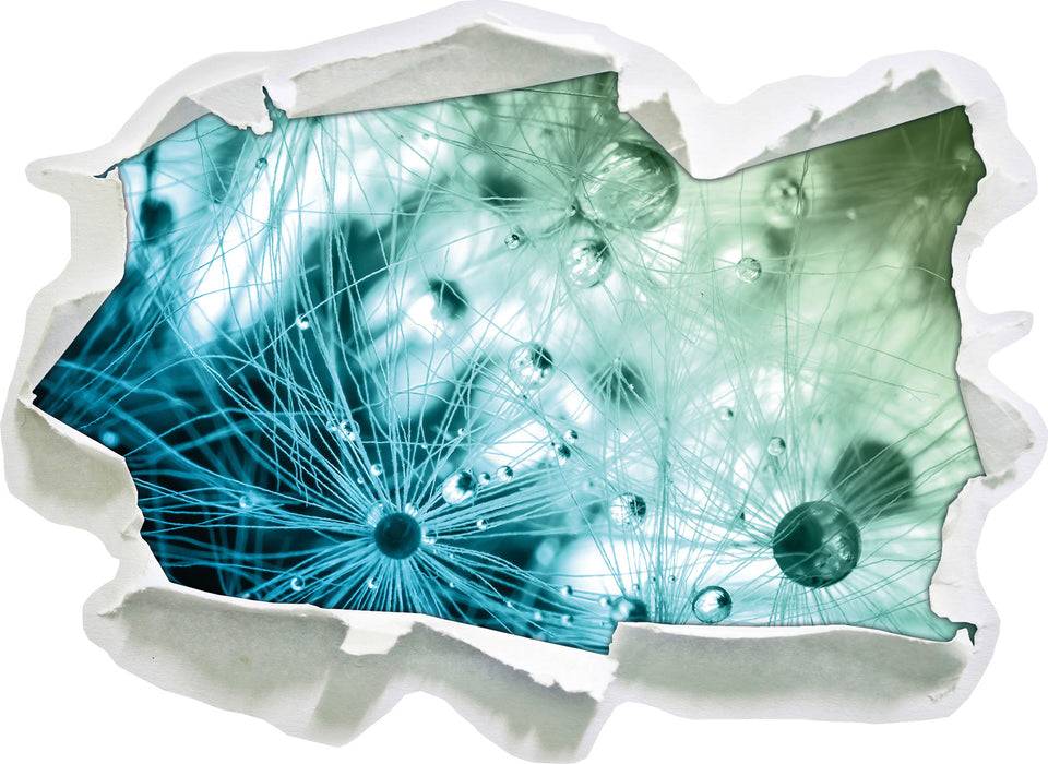Pixxprint Wassertropfen auf Grashalmen, 3D Wandtattoo Rabatt