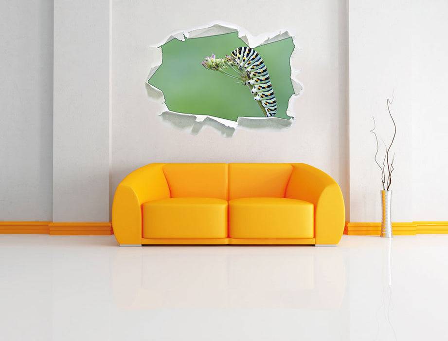 Pixxprint Kleine niedliche Raupe, 3D Wandtattoo Günstig kaufen