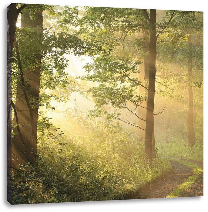 Pixxprint Waldweg, Leinwandbild Versandkostenfrei