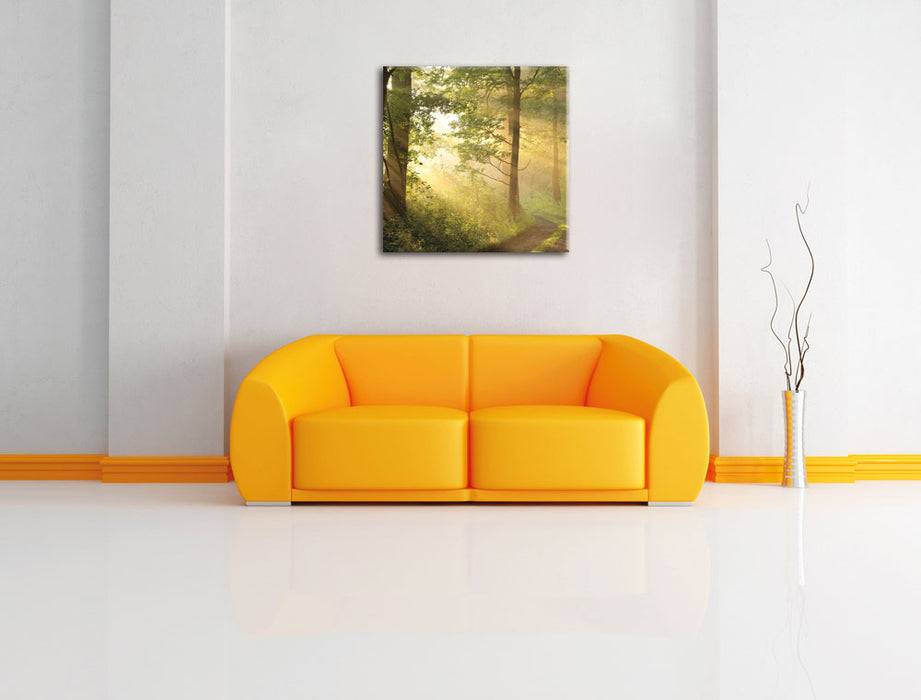 Pixxprint Waldweg, Leinwandbild Versandkostenfrei