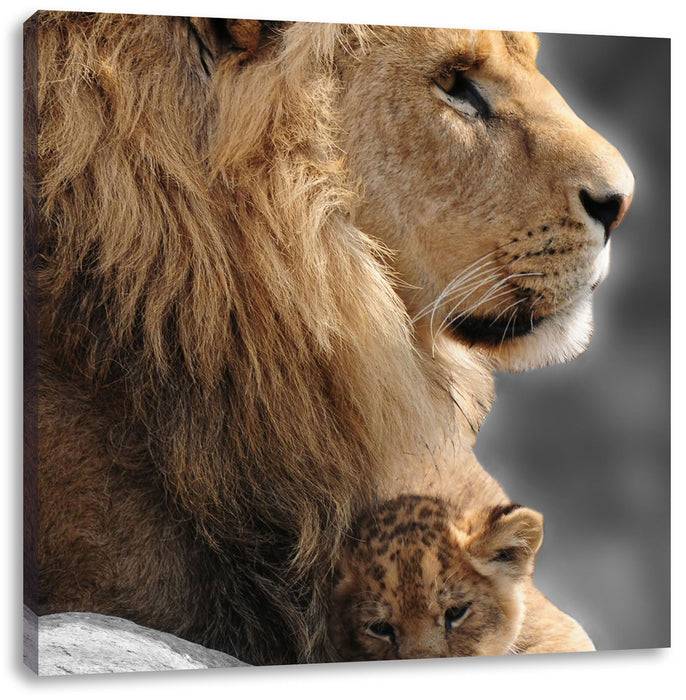 Pixxprint Löwe mit Löwenbaby, Leinwandbild Saisonschlussverkauf
