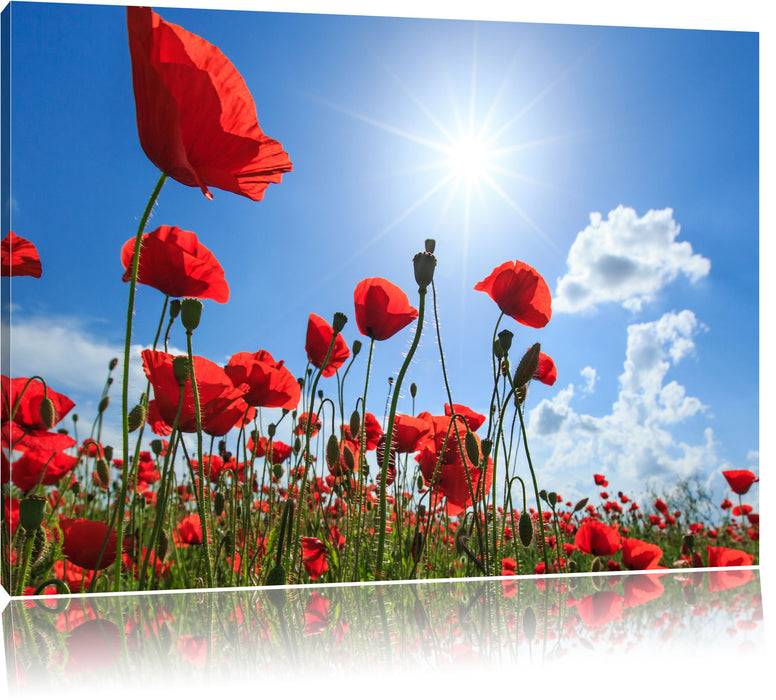 Pixxprint Mohnblumen, Leinwandbild Muttertagsangebot