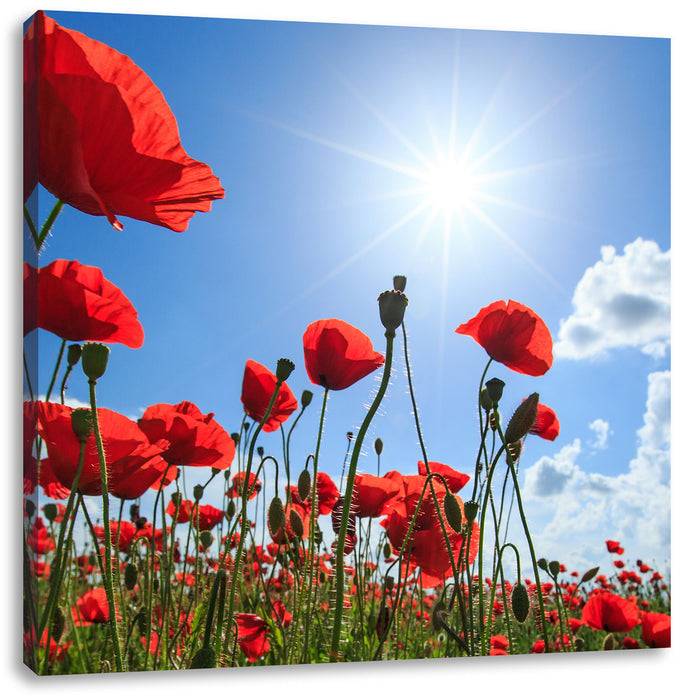 Pixxprint Mohnblumen, Leinwandbild Muttertagsangebot