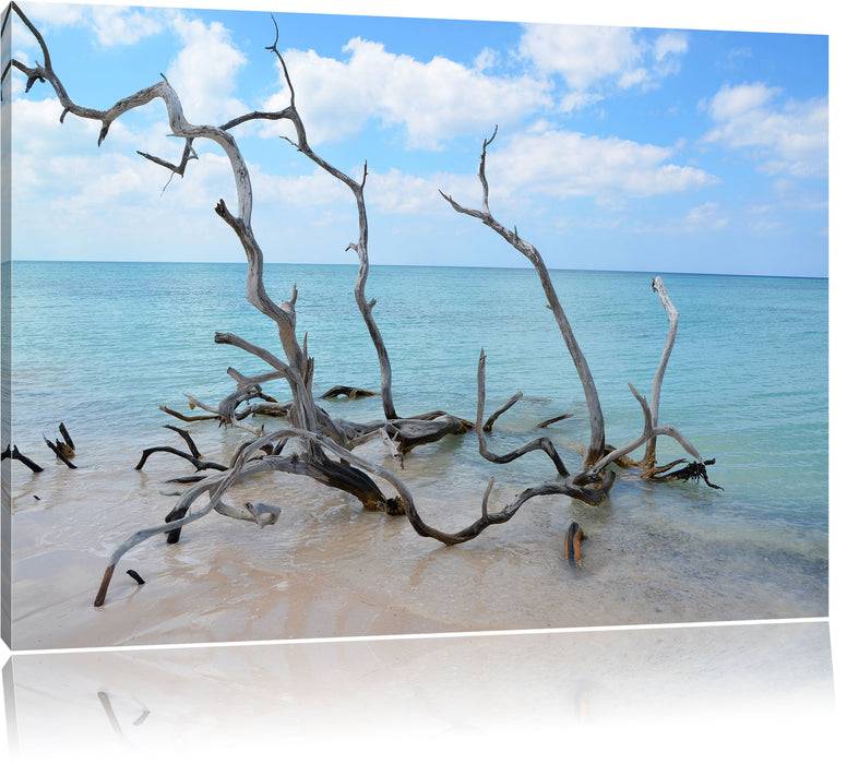 Pixxprint Strand mit Treibholz in Kuba, Leinwandbild Valentinstagsangebot