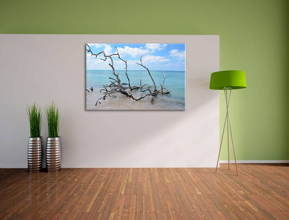 Pixxprint Strand mit Treibholz in Kuba, Leinwandbild Valentinstagsangebot