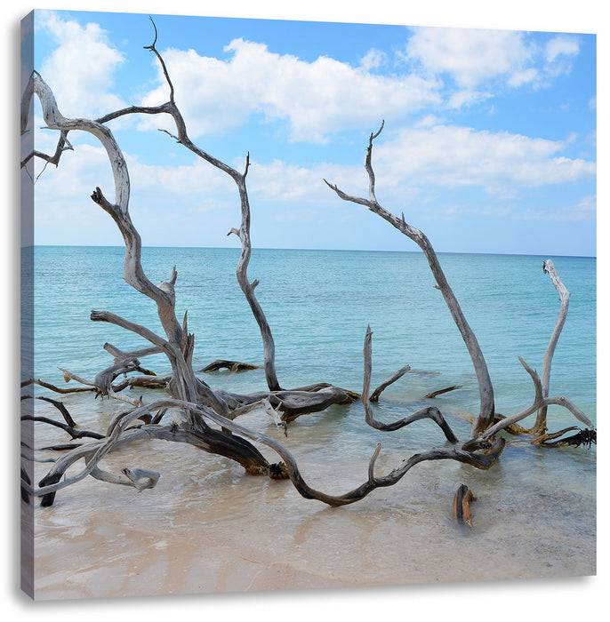 Pixxprint Strand mit Treibholz in Kuba, Leinwandbild Valentinstagsangebot