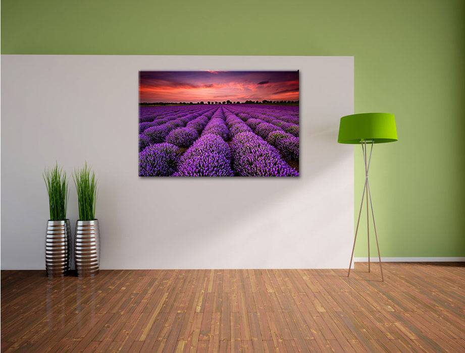 Pixxprint Lila Lavendel Provence, Leinwandbild Jubiläumsangebot