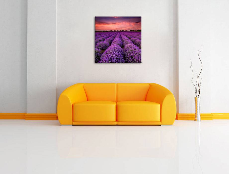 Pixxprint Lila Lavendel Provence, Leinwandbild Jubiläumsangebot